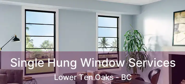  Single Hung Window Services Lower Ten Oaks - BC