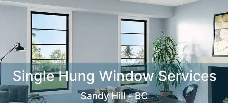  Single Hung Window Services Sandy Hill - BC