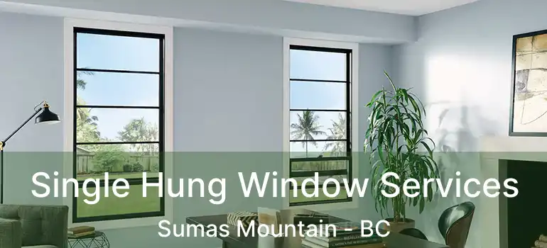  Single Hung Window Services Sumas Mountain - BC