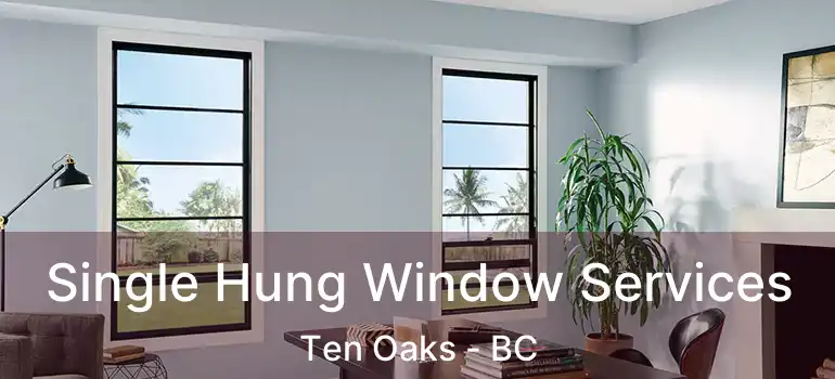  Single Hung Window Services Ten Oaks - BC