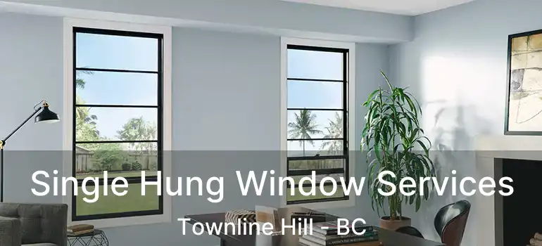  Single Hung Window Services Townline Hill - BC