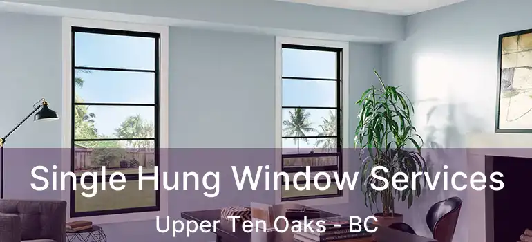  Single Hung Window Services Upper Ten Oaks - BC
