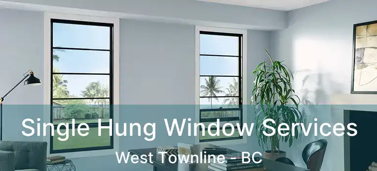  Single Hung Window Services West Townline - BC
