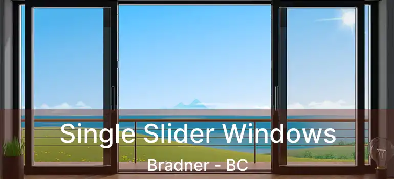  Single Slider Windows Bradner - BC
