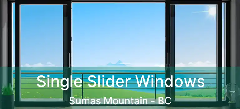  Single Slider Windows Sumas Mountain - BC