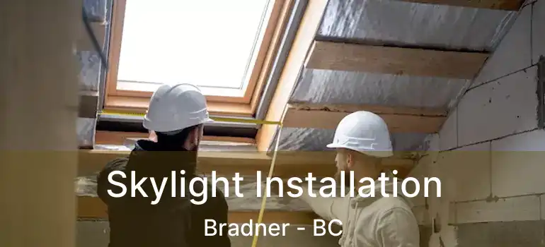  Skylight Installation Bradner - BC