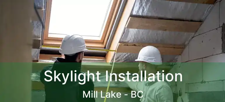  Skylight Installation Mill Lake - BC