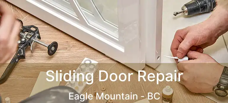  Sliding Door Repair Eagle Mountain - BC