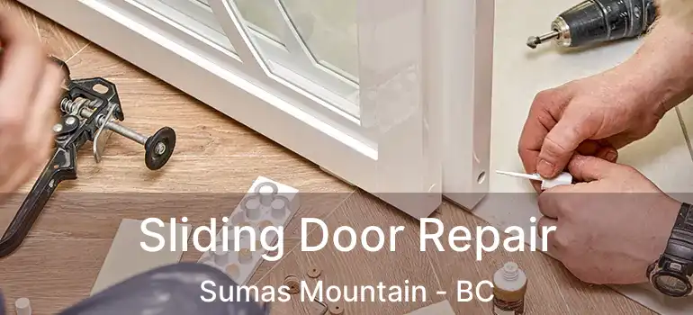  Sliding Door Repair Sumas Mountain - BC
