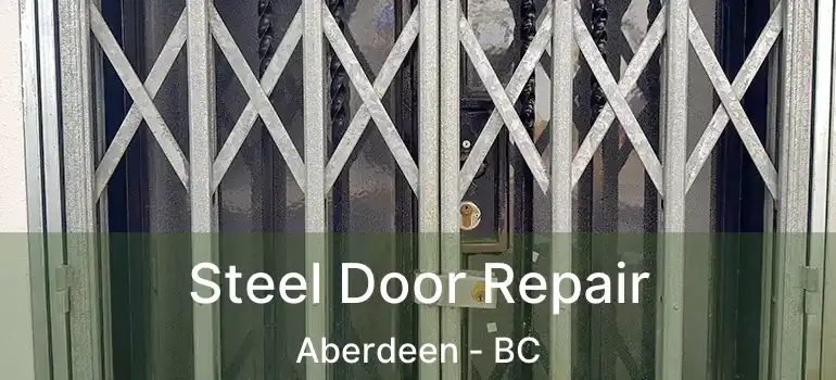  Steel Door Repair Aberdeen - BC