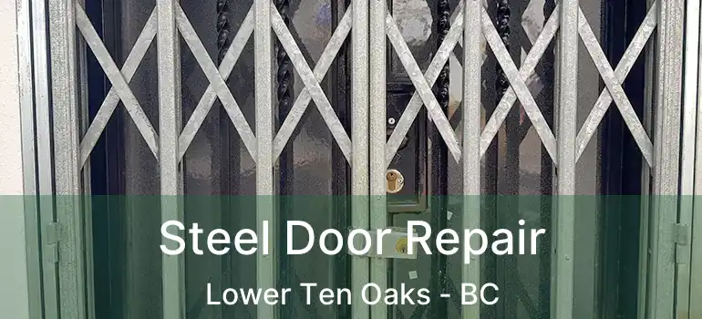  Steel Door Repair Lower Ten Oaks - BC