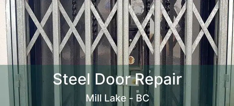  Steel Door Repair Mill Lake - BC