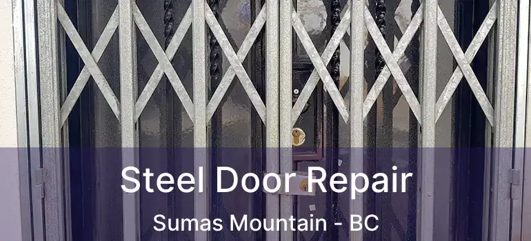 Steel Door Repair Sumas Mountain - BC