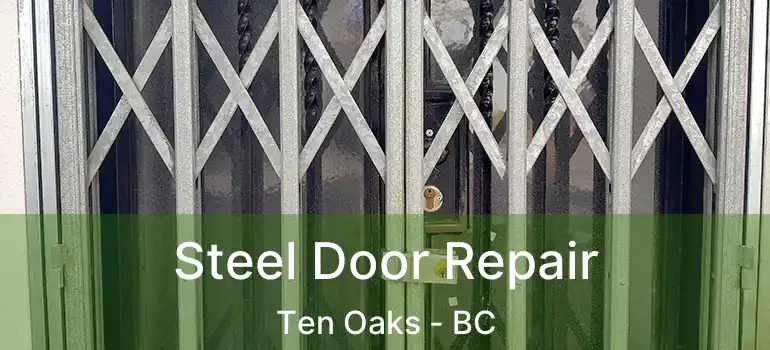  Steel Door Repair Ten Oaks - BC