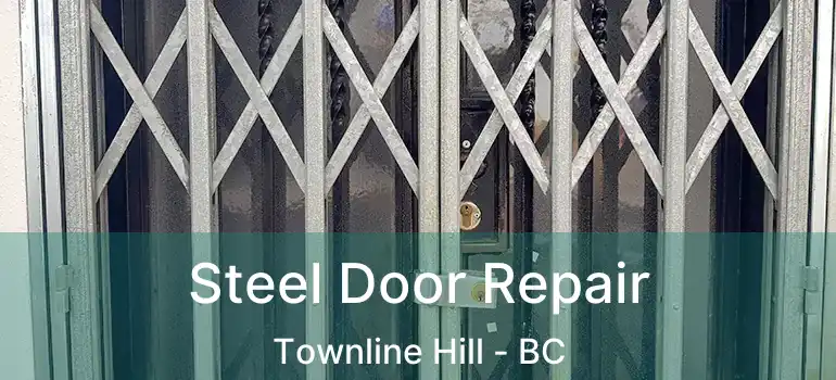  Steel Door Repair Townline Hill - BC