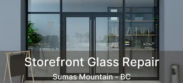  Storefront Glass Repair Sumas Mountain - BC