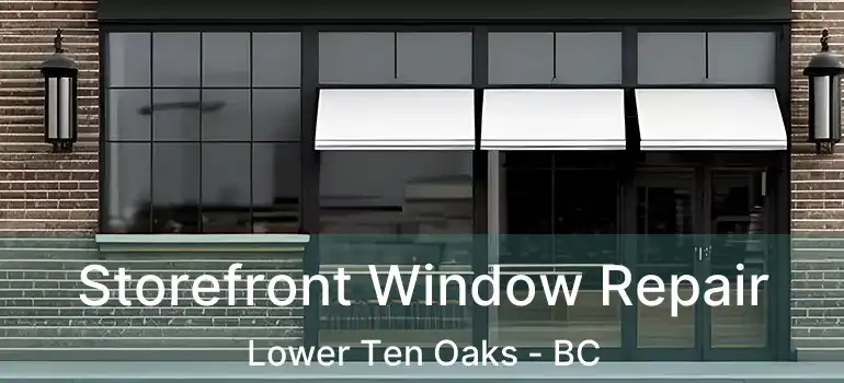  Storefront Window Repair Lower Ten Oaks - BC