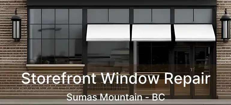  Storefront Window Repair Sumas Mountain - BC