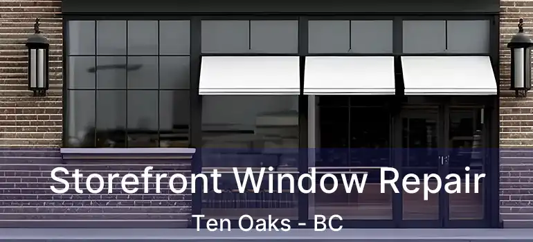  Storefront Window Repair Ten Oaks - BC
