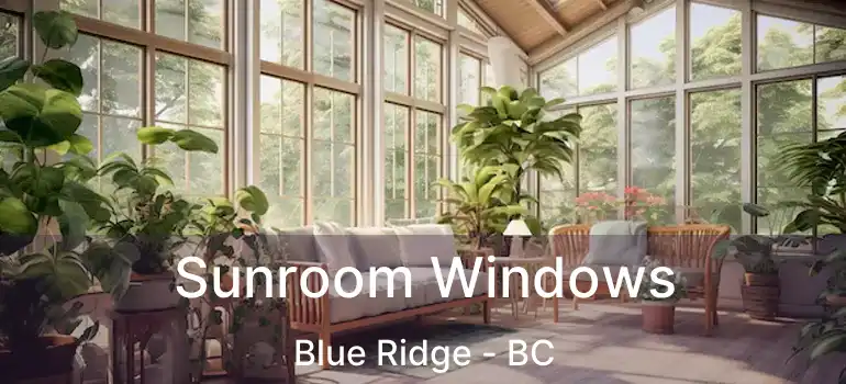 Sunroom Windows Blue Ridge - BC