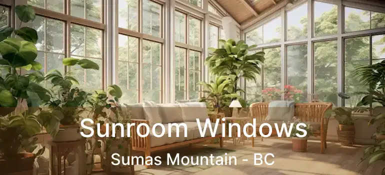  Sunroom Windows Sumas Mountain - BC