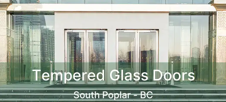  Tempered Glass Doors South Poplar - BC