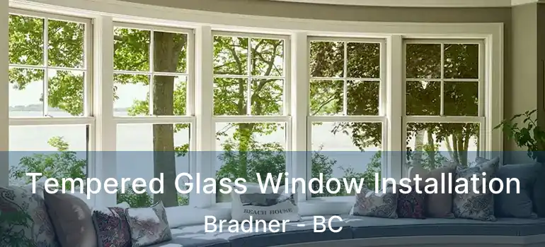  Tempered Glass Window Installation Bradner - BC