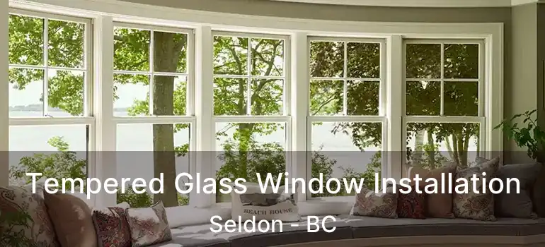  Tempered Glass Window Installation Seldon - BC