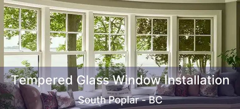  Tempered Glass Window Installation South Poplar - BC