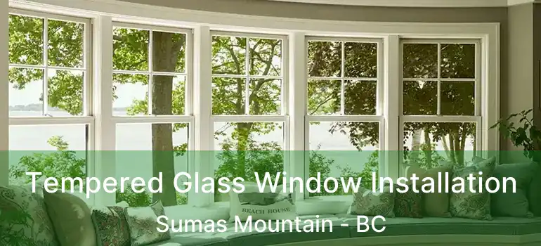  Tempered Glass Window Installation Sumas Mountain - BC