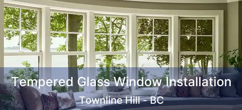  Tempered Glass Window Installation Townline Hill - BC