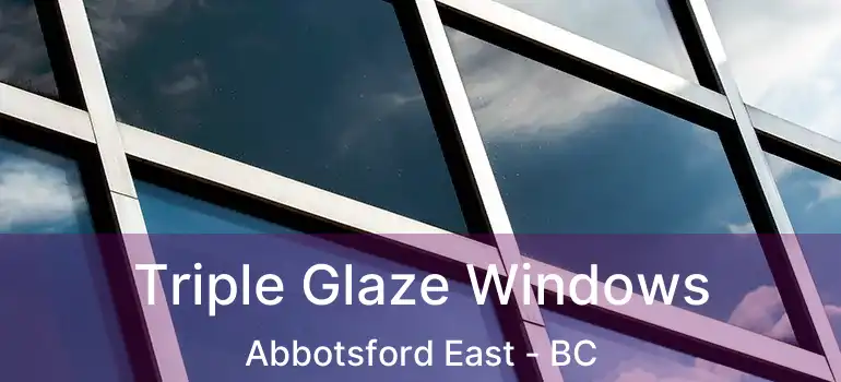  Triple Glaze Windows Abbotsford East - BC