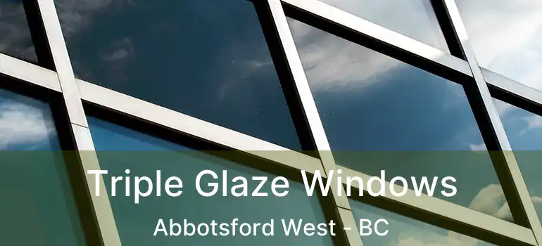  Triple Glaze Windows Abbotsford West - BC