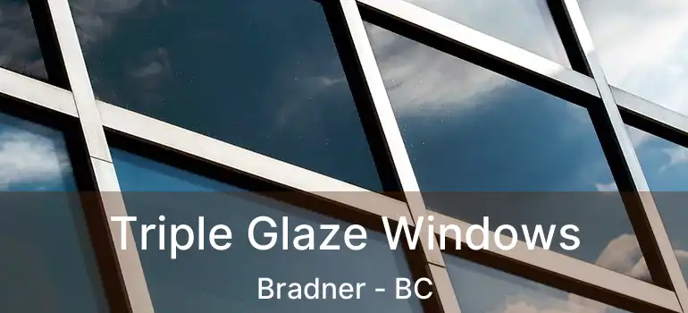  Triple Glaze Windows Bradner - BC