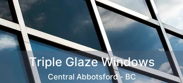  Triple Glaze Windows Central Abbotsford - BC
