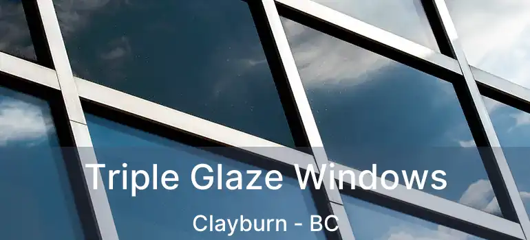  Triple Glaze Windows Clayburn - BC