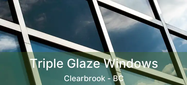  Triple Glaze Windows Clearbrook - BC
