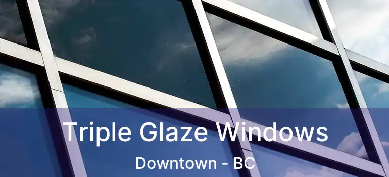  Triple Glaze Windows Downtown - BC