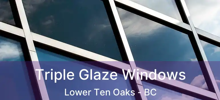  Triple Glaze Windows Lower Ten Oaks - BC