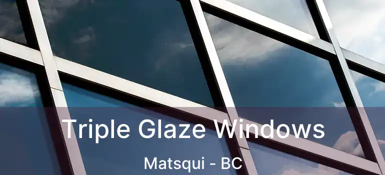  Triple Glaze Windows Matsqui - BC