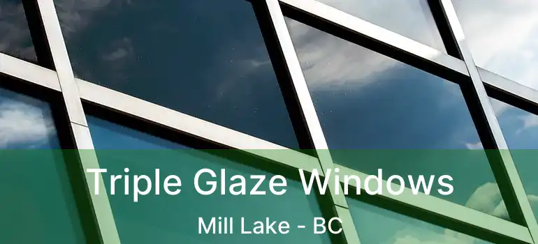  Triple Glaze Windows Mill Lake - BC