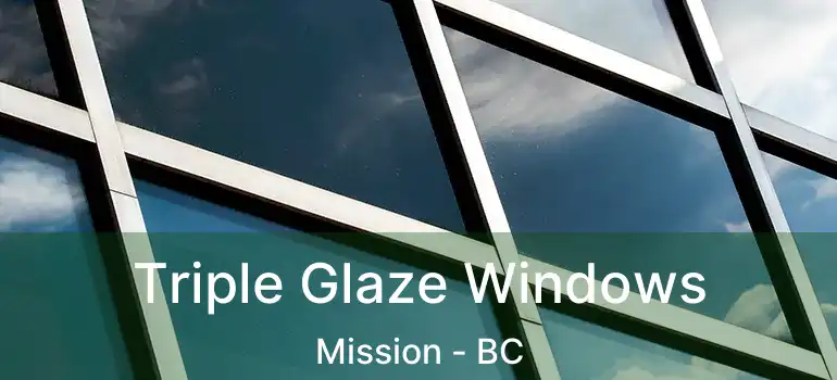  Triple Glaze Windows Mission - BC