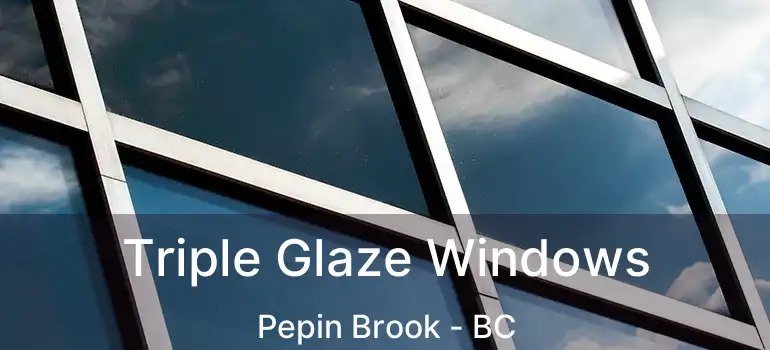  Triple Glaze Windows Pepin Brook - BC