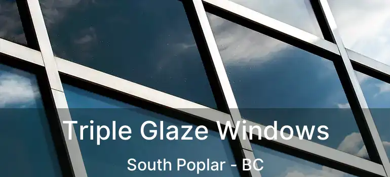  Triple Glaze Windows South Poplar - BC