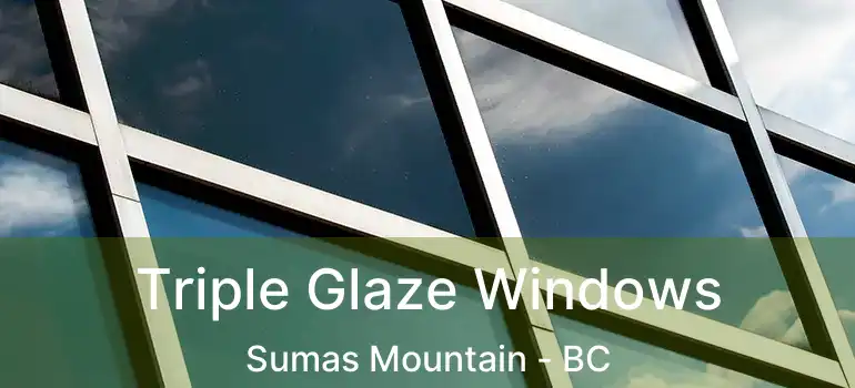  Triple Glaze Windows Sumas Mountain - BC