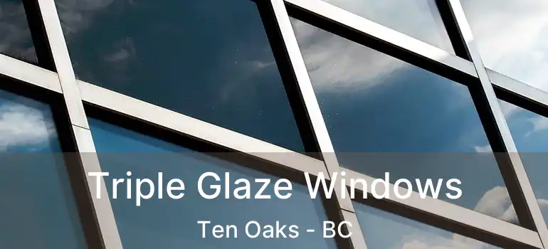  Triple Glaze Windows Ten Oaks - BC