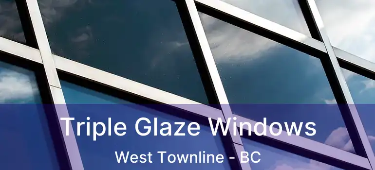  Triple Glaze Windows West Townline - BC