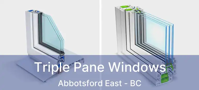  Triple Pane Windows Abbotsford East - BC
