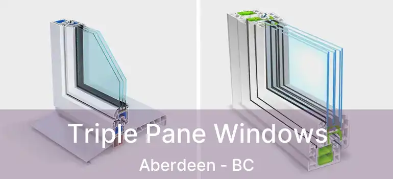  Triple Pane Windows Aberdeen - BC