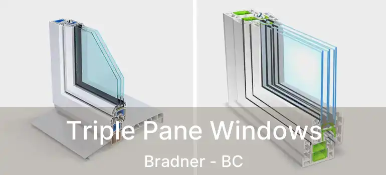  Triple Pane Windows Bradner - BC
